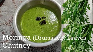 🌿മുരിങ്ങയില ചമ്മന്തി  Special Chutney  Moringa Drumstick Leaves Chutney  Chutney Recipes [upl. by Lyle]