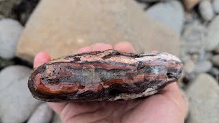 Rockhounding the Bay of Fundy  Pt1 [upl. by Ardnaiek]