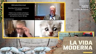 «NO SOY UN GATO» La vida moderna es entrar a un juicio con el filtro de gato LaVidaModerna [upl. by Ecertak578]