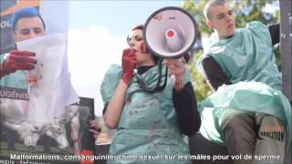 Contre la torture génétique animale   Boucherie Abolition  Happening 01042017 [upl. by Llehcar361]