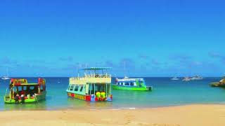 Island Girl Tours Tobago  Buccoo Reef amp Nylon Pool GlassBottom Boat Tour [upl. by Arrimat548]