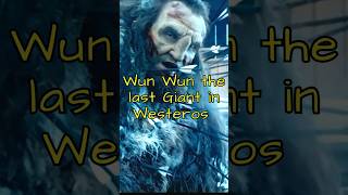 Wun Wun the last giant in Westeros gameofthrones westeros giant jonsnowedit georgerrmartin HBO [upl. by Anel326]