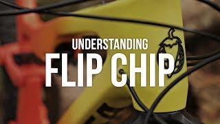 Understanding Flip Chip [upl. by Liew91]