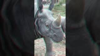 गेंडे का हमला इतना खतरनाक क्यों होता है  WHY IS A RHINOCEROS ATTACK IS DANGEROUS [upl. by Bibah957]