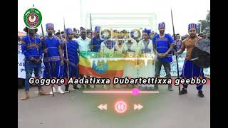 Gedeo Cultural music goggore 2024 [upl. by Cirenoj]