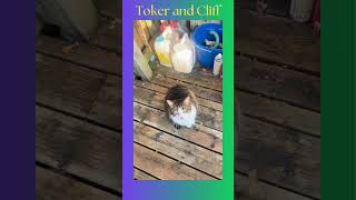 Clifford the Beagle amp Toker the Cat A Tail of Two Friends [upl. by Fortin]