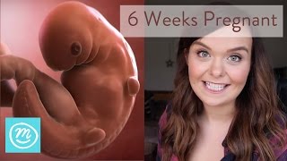 6 Weeks Pregnant What You Need To Know  Channel Mum [upl. by Redleh]