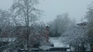 Its Snowing Here In Milton Keynes 19th November 2024 Day 1 [upl. by Nette]