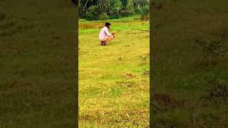 প্রেম মানে না বাধা🤣 funny shorts video [upl. by Avalsorim318]