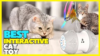 Top 5 Best Interactive Cat Toy On 2023 Laser And Robotic Cat Toy [upl. by Norramic790]