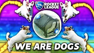 ROCKET LEAGUE BUT WERE ALL DOGS [upl. by Adeehsar443]