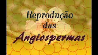 Reprodução das Angiospermas  3 Biologia [upl. by Htenay]