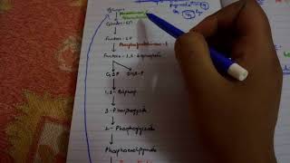 GLUCONEOGENESIS complete EASIEST explanation part 1 [upl. by Meekar]