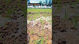 holy sprouts new video viral farmer💸💸💸 [upl. by Miehar48]