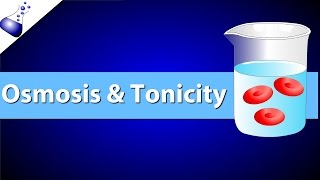 Osmosis and Tonicity [upl. by Colwell]