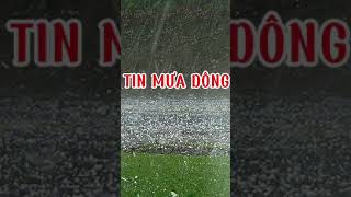 TIN MƯA DÔNG LỐC SÉT [upl. by Denys]