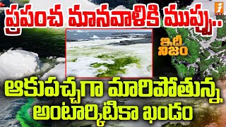 ప్రపంచ మానవాళికి ముప్పు ఏర్పడుతోందా  Antarctica Turns Green  idhi Nijam [upl. by Price567]