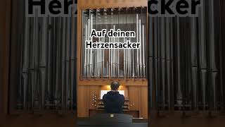 Auf deinen Herzensacker music orgelmusikneuapostolisch orgelviralvideo shortsfeed shorts fyp [upl. by Joannes700]