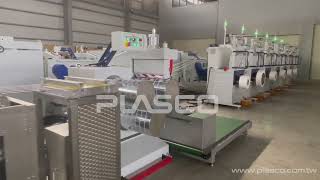 PP Strapping Band Extrusion Machine [upl. by Alyat]