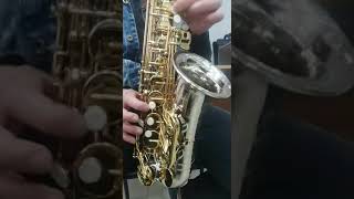 Yanagisawa Alto Sax WO37 Chinese Replica [upl. by Akinad]