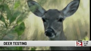 Local Hunters Asked to Help State DEC Test for Chronic Wasting Disease in Deer [upl. by Eisseb804]