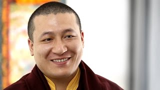 What is Buddhist meditation ► HH 17th Karmapa on how to meditate [upl. by Ednalrym967]