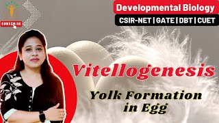 Vitellogenesis  Yolk Formation in Egg  Developmental Biology CSIR NET [upl. by Clayborne167]