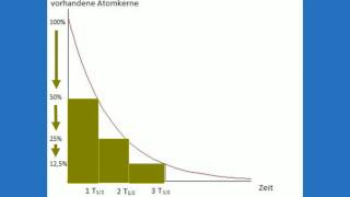 Aktivität und Halbwertszeit [upl. by Gerdi668]