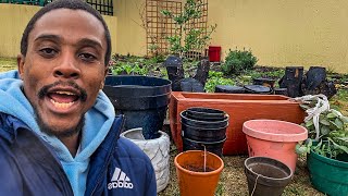 Container Gardening The Different Types Crops To Grow amp How to get Started Gardening South Africa [upl. by Eiwoh]