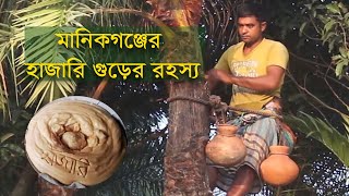 মানিকগঞ্জের ঐতিহ্যবাহী হাজারির গুড়  Manikganj Famous Hajari Gur  MLTN [upl. by Hoenack]