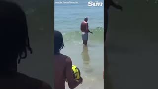 Massive shark spotted lurking off Portugese beach sparking mass panic shorts [upl. by Enrobialc378]