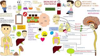 Farmacologia BROMURO DE IPRATROPIO [upl. by Russi]