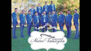 Mariachi Nuevo Tamazula 12CdHay Que Rechula Es Mi Tierra 2017 [upl. by Fidellas]