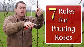 7 Rules for Pruning Roses [upl. by Alonzo]