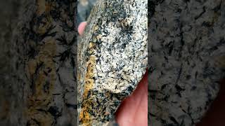 My Daily Rock 14 Mafic Metamorphic Treasures Poudre Canyon Colorado geology rockhounding [upl. by Barsky547]