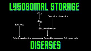 USMLE Step 1  Lesson 69  Lysosomal Storage diseases [upl. by Apple224]