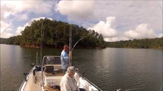 Best day of striper fishing CARTERS LAKE [upl. by Aij]