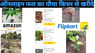 Online Fruit Plant Kidhar Se Kharide Amazon Ya Flipkart [upl. by Eneleuqcaj]