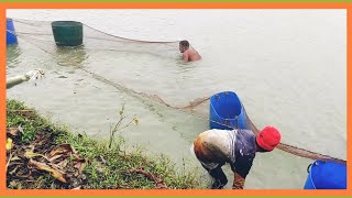 Trawling fishing with nets [upl. by Odlanra]