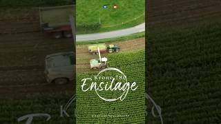 Teaser  Ensilage 2024  krone 780  GAEC Ducreux agriculturephotos [upl. by Woermer]