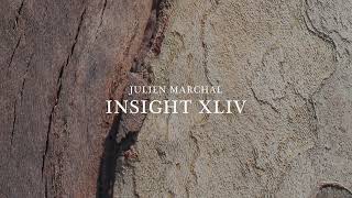 Julien Marchal  Insight XLIV Official Audio [upl. by Walrath]