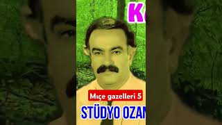 Kahtalı Mıçe Gazelleri 5 [upl. by Nodarb]