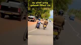 මේ හොද වැඩේ ලයික් එකකින් අගය කරමුද shorts srilanka sinhala youtubeshorts ceylonpride 2024 [upl. by Sanyu341]