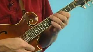 Mandolin Lesson  Turnaround Lick in D [upl. by Kirt]