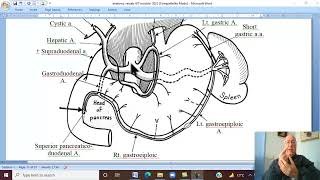 Anatomy GIT Module in Arabic 50 Coeliac Trunk  by Dr Wahdan [upl. by Yerrot]