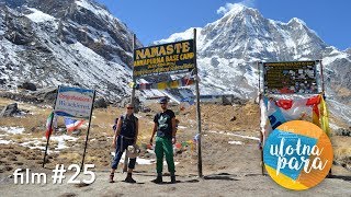 Trekking w Himalajach dzień po dniu  Annapurna Base Camp i Poon Hill  Nepal  film 25 [upl. by Olegnaid]