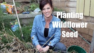 How to Plant Wildflower Seed for Early Spring Flowers [upl. by Samale]