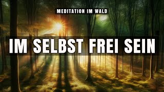 Meditation im Wald 🦉 Im Selbst Frei Sein [upl. by Derayne408]