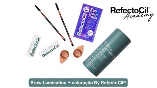 Brow Lamination  coloração by RefectoCil® [upl. by Vassar]