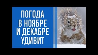 Сніг у листопаді та тепло в грудні Прогноз погоди в Україні до Нового року [upl. by Ottillia]